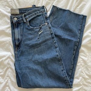Everlane Way High Jean